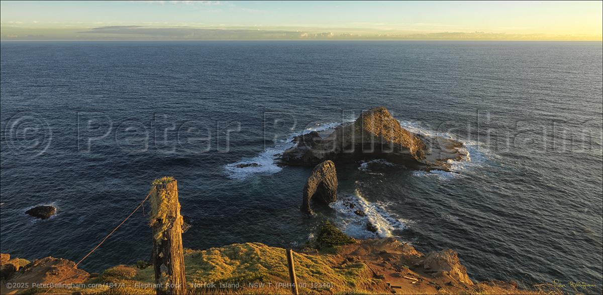 Peter Bellingham Photography Elephant Rock - Norfolk Island - NSW T (PBH4 00 12340)